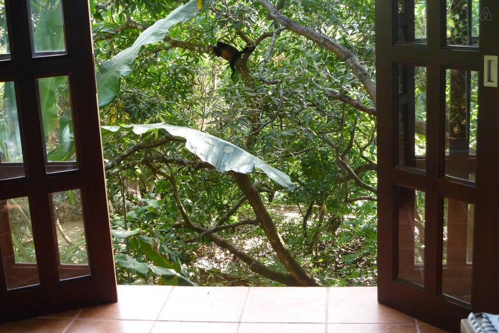 Luz En El Cielo Eco-B&B/Hostel Montezuma Room photo