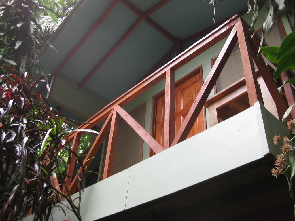 Luz En El Cielo Eco-B&B/Hostel Montezuma Room photo